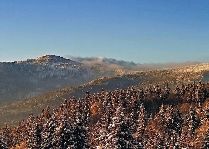 Berggasthof Lusen